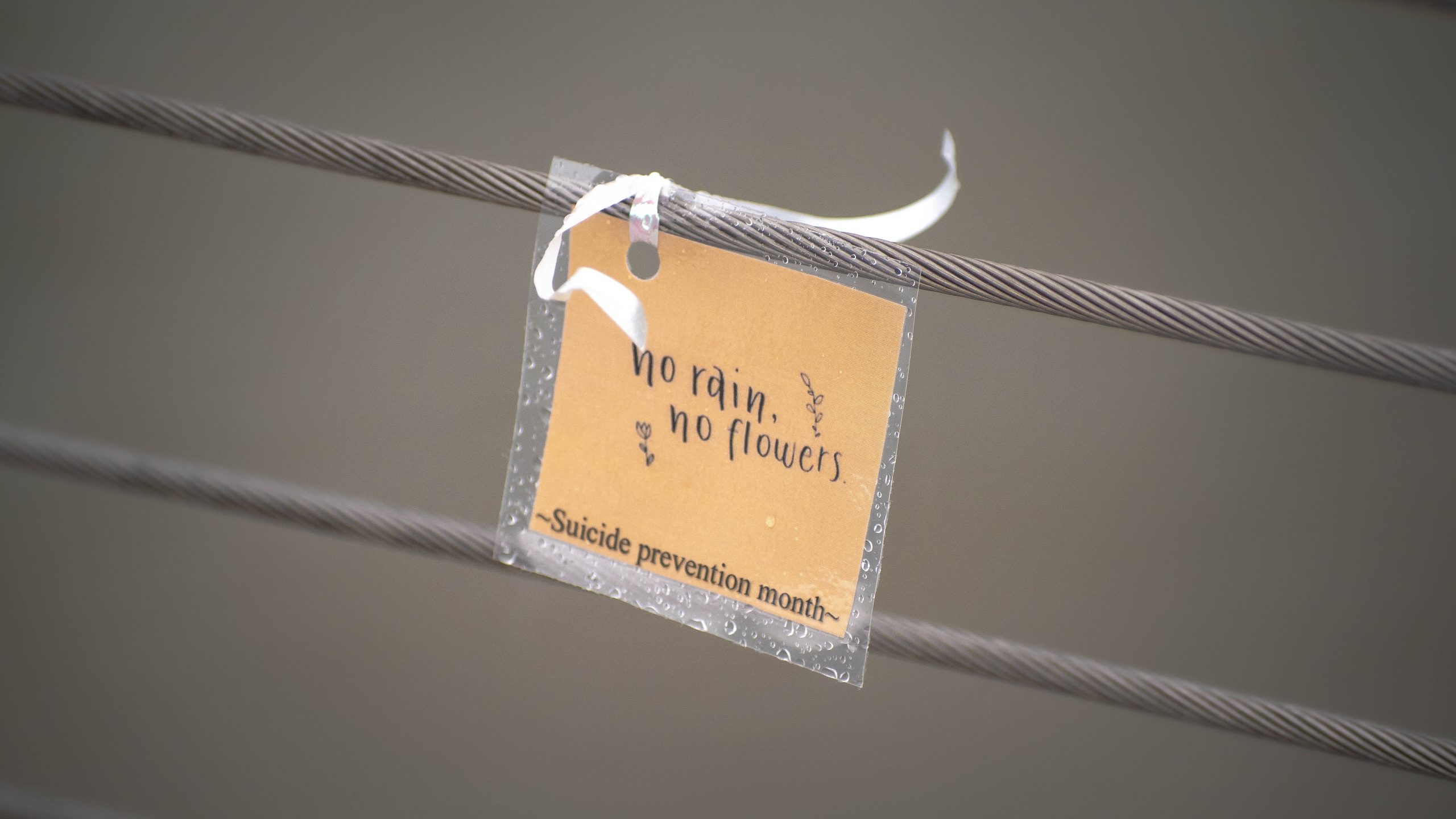 Imagen con una nota que dice 'No rain, no flowers - Suicide Prevention Month', transmitiendo un mensaje de esperanza y resiliencia en la prevención del suicidio